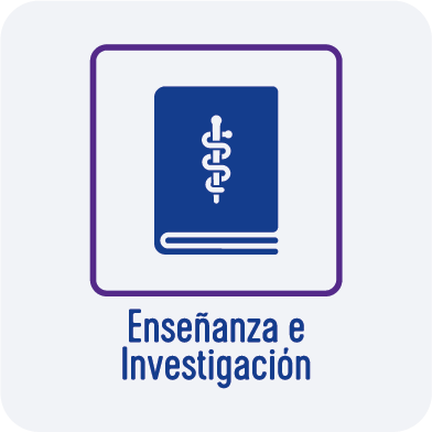 Enseñanza e Investigación Enseñanza e Investigación