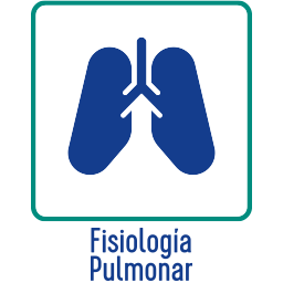 Fisionomia Pulmonar