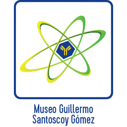Museo Museo